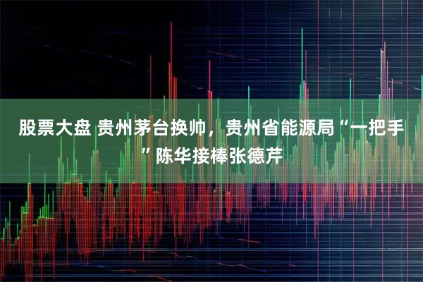 股票大盘 贵州茅台换帅,贵州省能源局“一把手”陈华接棒张德芹