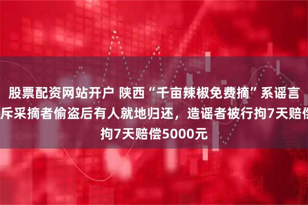 股票配资网站开户 陕西“千亩辣椒免费摘”系谣言，村民怒斥采摘者偷盗后有人就地归还，造谣者被行拘7天赔偿5000元