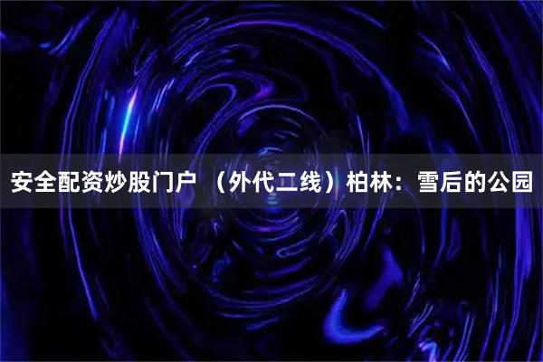 安全配资炒股门户 (外代二线)柏林:雪后的公园