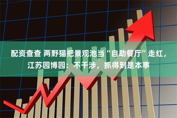 配资查查 两野猫把景观池当“自助餐厅”走红，江苏园博园：不干涉，抓得到是本事